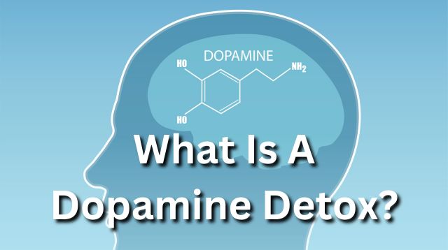 What Is A Dopamine Detox? - Bryar Wolf